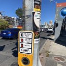 행운당구랜드 | 🇨🇦 #01 캐나다 무사 도착 후 적응기