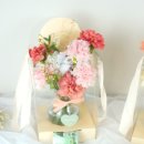 아셀플레르