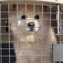 애향초등학교 이미지