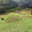 서유1호 이미지