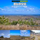 제주 동쪽 오름 추천 제주도 용눈이오름 난이도