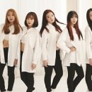 홀릭스 이미지