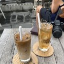 서가바오