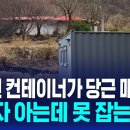 당근마켓 사기 범죄 이미지