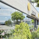 도남식당 | 통영 갈치조림 맛집 | 블루리본 맛집 도남식당 갈치조림 정식 내돈내산 솔직 후기