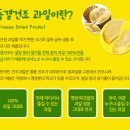 코코두리안