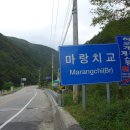 마랑치교