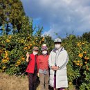 하례광장로 이미지