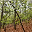 동막공원 이미지