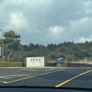 대유랜드 | 제주 실탄사격장 중문 액티비티 대유랜드 권총사격 후기