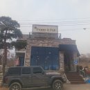 퍼피앤펍 | 아산 애견카페 퍼피앤펍 솔직후기