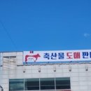 청춘축산물백화점 이미지