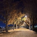 스타벅스아산탕정점 이미지