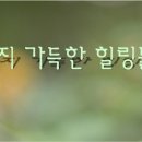 [총정리] 시리즈 발매된 힐링카드의 효과를 총정리했습니다. 이미지
