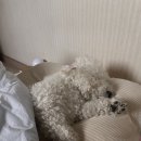 두손면가 | [운동일기 96화] 5월 3주차_ 36시간 단식 효과, zone3 유산소, 단백질 사수하기, 부산여행, 초량밀면...