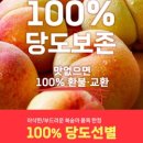 트레몰로롯데마트