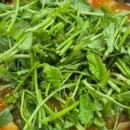 엄지민물매운탕 이미지