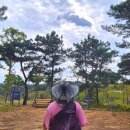 진주중부농협주유소 이미지