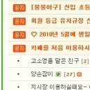 771003 Daum카페
