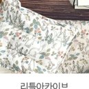 현대리틀아카이브 이미지