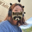 지리산 대경 오토캠핑장 A7, 천왕봉 맛집 (솔직 후기)