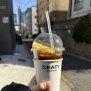 씨티커피역삼