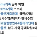 엠에스(MS)가죽 공예학원 네이버블로그