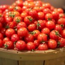 파로스학원 이미지