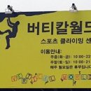 버티칼월드 이미지