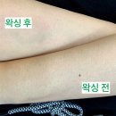 양덕동580 | [창원(마산)] 마산 양덕동 슈가링 왁싱샵 추천 ‘필앤유뷰티’ (+첫 왁싱 후기)