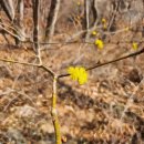 해맑은2농장 이미지