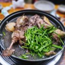 온누리2농장 | 삼척 로컬맛집 온누리농장쉼터에서 먹은 오리탕 내돈내산방문기