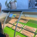 성창수산영어조합법인 | 강화도 맛집 강화수산직판장 장어 먹으러 재방문 후기, 역시 맛있당!! #내돈내산