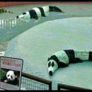 예전가축수정 | 어른은 무보수로 안 움직여