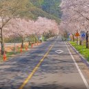 청도여행자센터 이미지