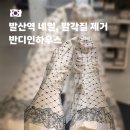 발산역 4번출구 | 발산역 네일 추천, 반디인하우스 발산점 오가닉 패디스파 9단계 발각질 제거로 아기 발 된 후기