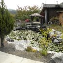 한우와 된장 이미지