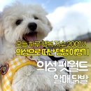 어린이 방송 스피치 | 경북 의성 l 반려견과 함께하는 완벽한 하루: 펫월드 정복 &amp; 할매닭발 먹방
