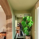 여수풀빌라 딜문 이미지