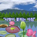 아침한줄