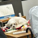 한푼리포차 이미지