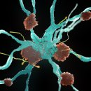 동양온누리약국 이미지