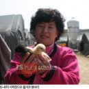 엘림스포츠 이미지