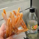 후쿠오카 아프리칸 사파리 비오는 날 버스투어 (인타임투어/예약/위치/준비물/내돈내산)