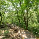 바라산 티스토리