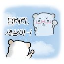 베어스츄리마켓