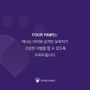 포포즈 반려동물장례식장 부산점 이미지