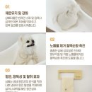 멍스럽개 이미지