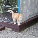 퀸스테이 이미지