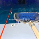 아빠어디가바다낚시 이미지